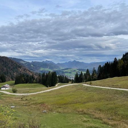 Ferienhaus Kaiserblick - Fewo2 Walchsee Esterno foto