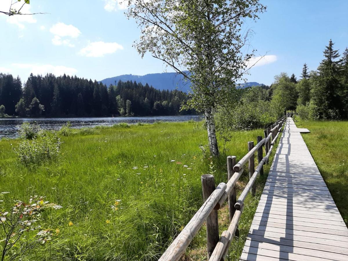 Ferienhaus Kaiserblick - Fewo2 Walchsee Esterno foto